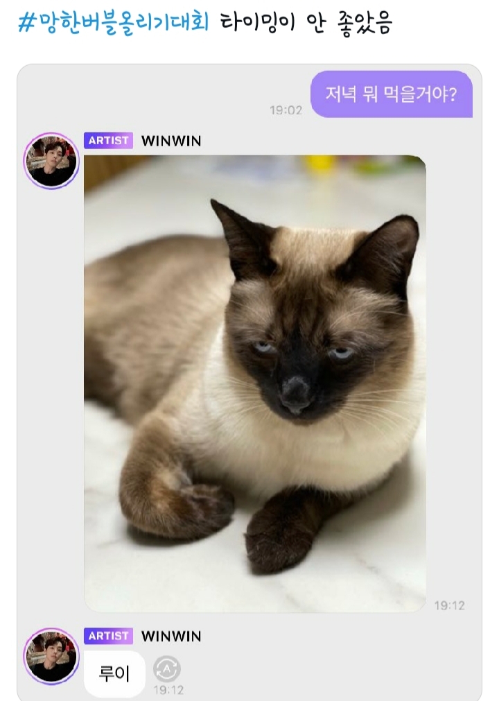 추추추가) 트위터에서 갑자기 벌어진 망한 버블 올리기 대란.twt | 인스티즈