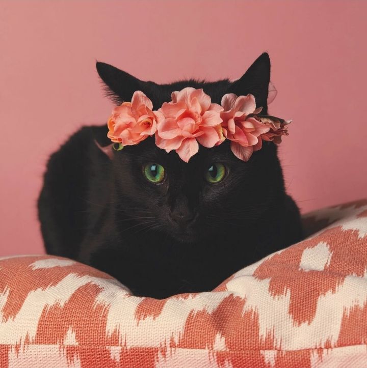 박수홍 결혼 | 인스티즈