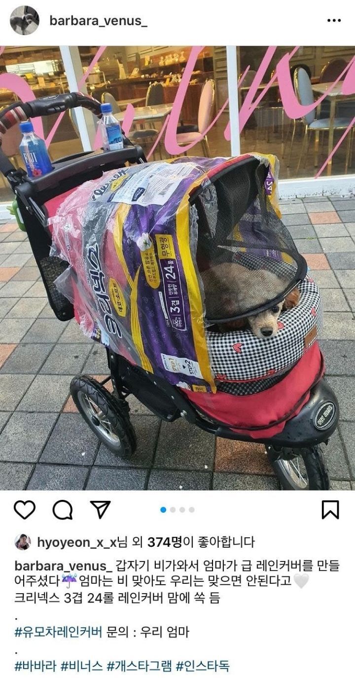 갑자기 비가오자 효연이 강아지에게 한 행동...jpg | 인스티즈