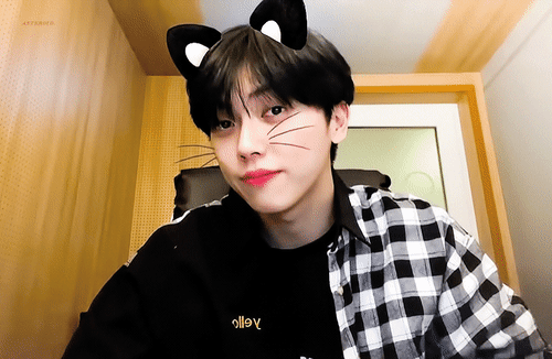 한 아이돌이 좋아하는 강아지 종 | 인스티즈