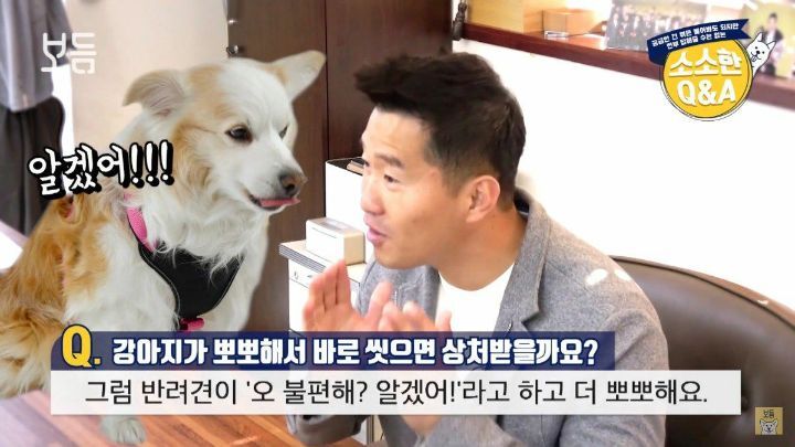 강아지 뽀뽀가 불편하다고 직접 표현하면 안되는 이유.jpg | 인스티즈