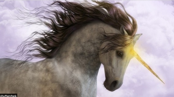 한 마리만 다스릴 수 있다면 고르고 싶은 환상의 동물은? | 인스티즈