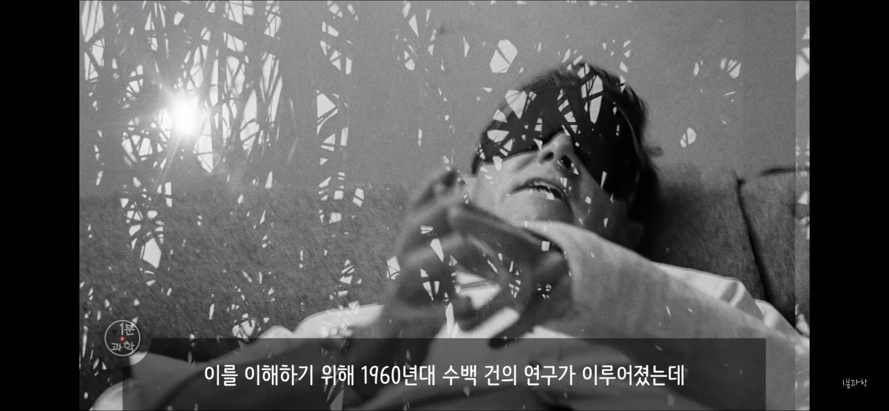 전세계에서 금지된 마약 | 인스티즈