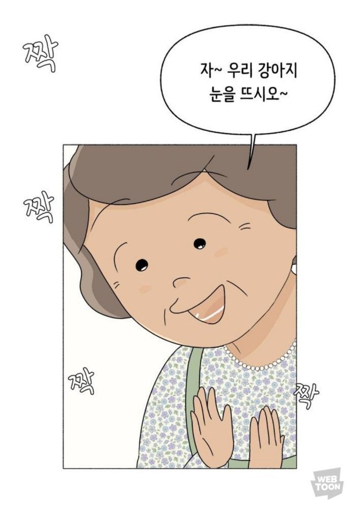직장이랑 가까워서 할머니집에서 살게됐는데 더 일찍 일어나는거 실화? | 인스티즈
