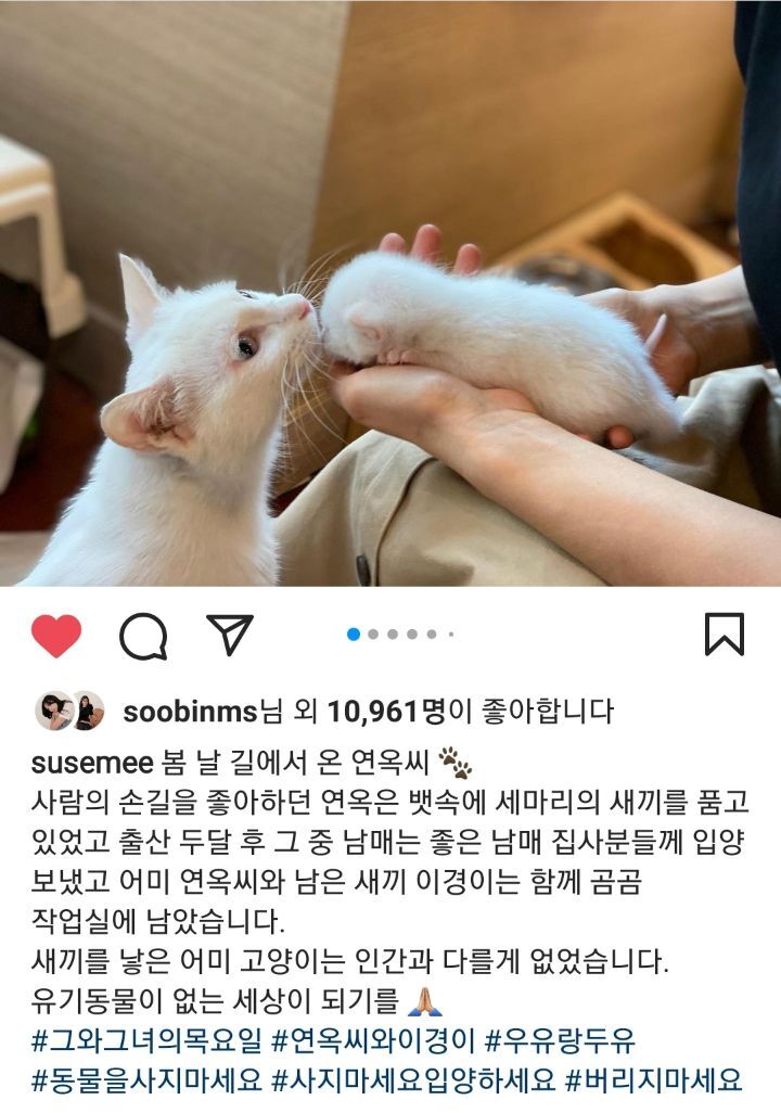 선한 영향력을 보여주는 배우 임세미의 인스타 피드 | 인스티즈