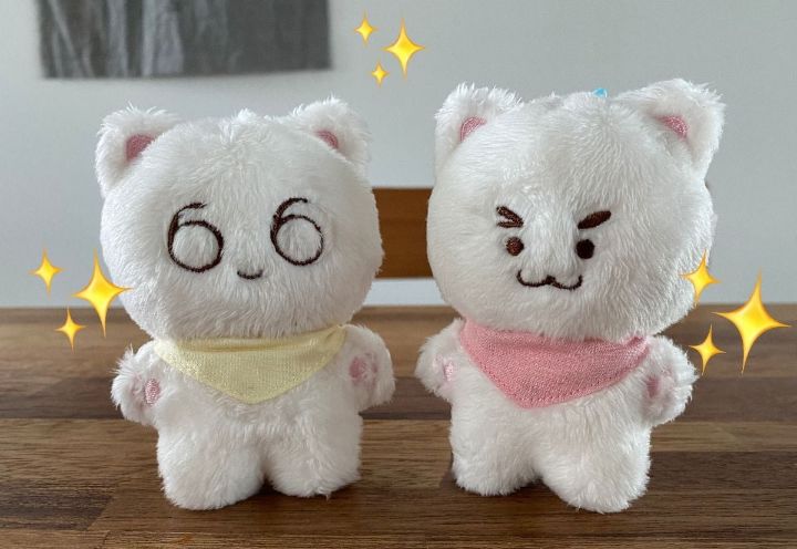 요즘 아이돌 팬들 사이 덕질 필수템 중에 하나인 것 | 인스티즈