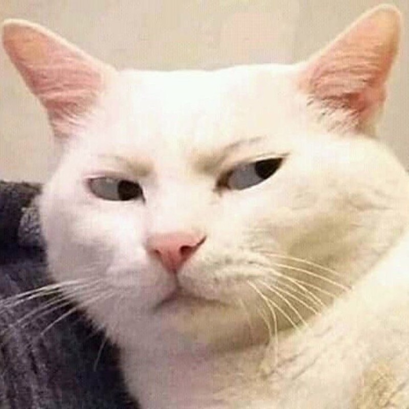 우리집 강아지가 5살 애기가 됐는데 외주로 일 처리 할줄도 알고 대박임,, 먼서리냐고? 일단 봐보셈,, | 인스티즈