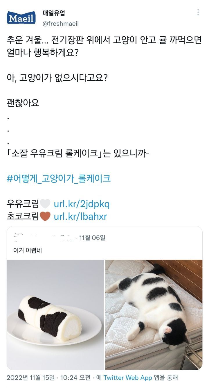 아, 고양이가 없으시다고요? 괜찮아요 | 인스티즈
