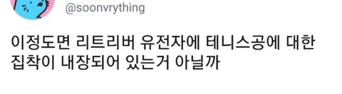 강아지 짤 모음(개많음) | 인스티즈