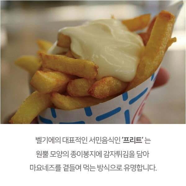 벨기에는 감자튀김에 'ㅇ'를 찍어 먹는다 | 인스티즈