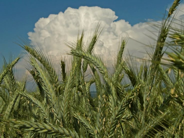 진짜로 끝나버렸어 여름! | 인스티즈