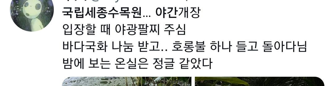 야간개장한 국립세종수목원 | 인스티즈