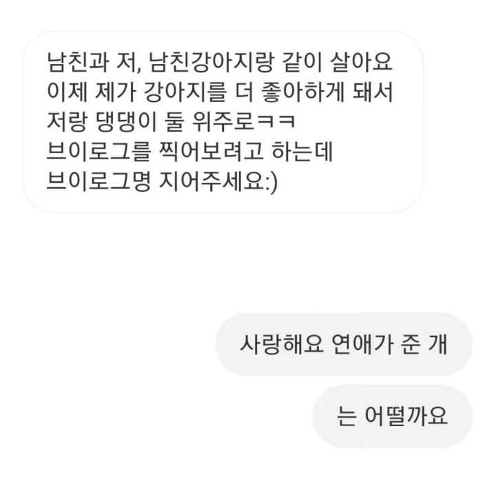 동생이랑 자매가 일상담은 유투브를 해볼까하는데 채널 이름 좀 지어주세요 | 인스티즈