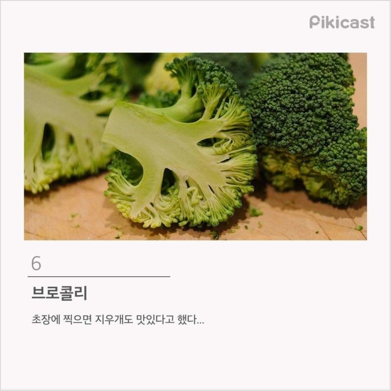 프로편식러 등급 | 인스티즈
