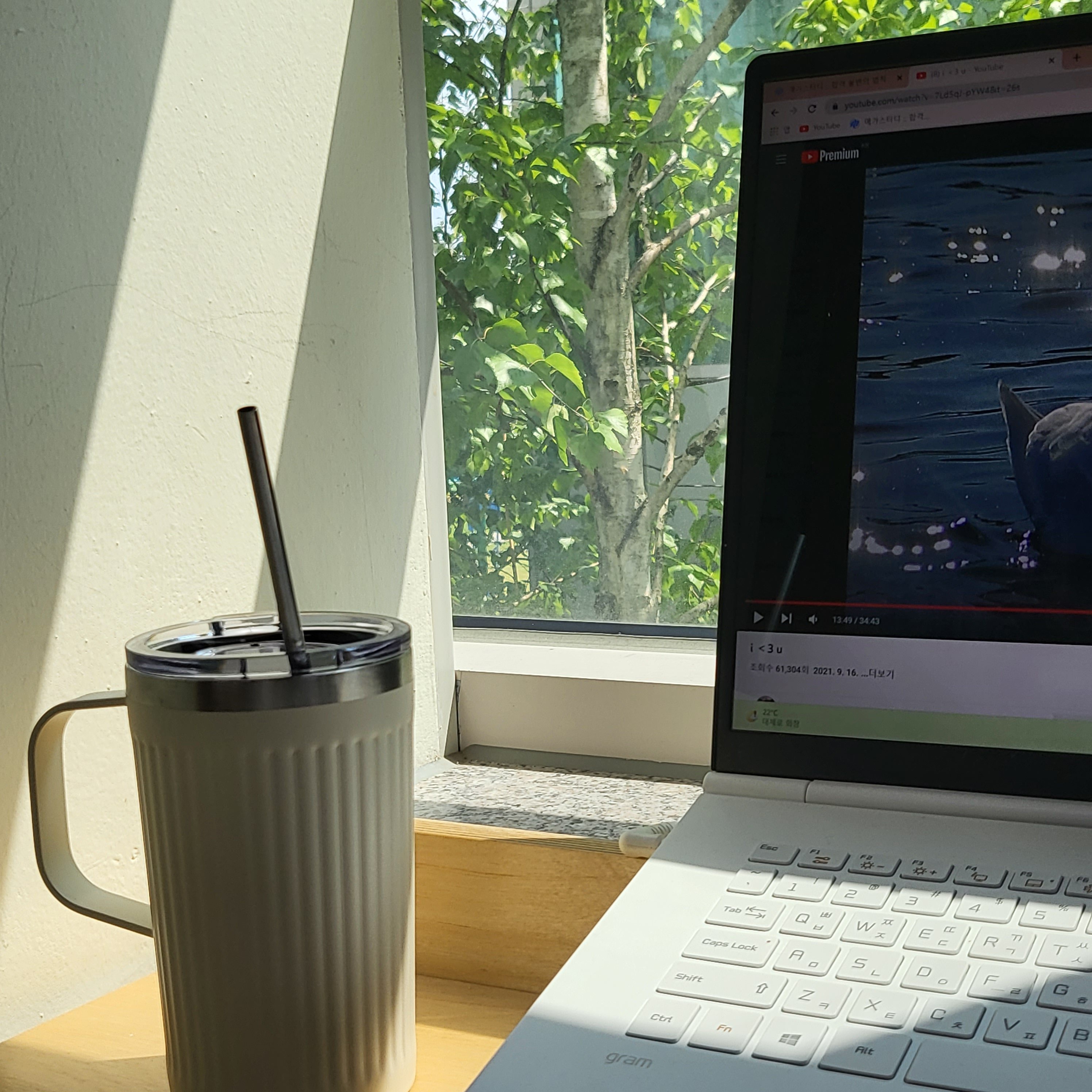 여름 향기 나는 사진 공유하는 글 | 인스티즈