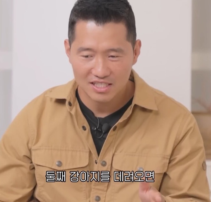 노견을 키우는 보호자들이 절대 하지 말아야할 것 | 인스티즈