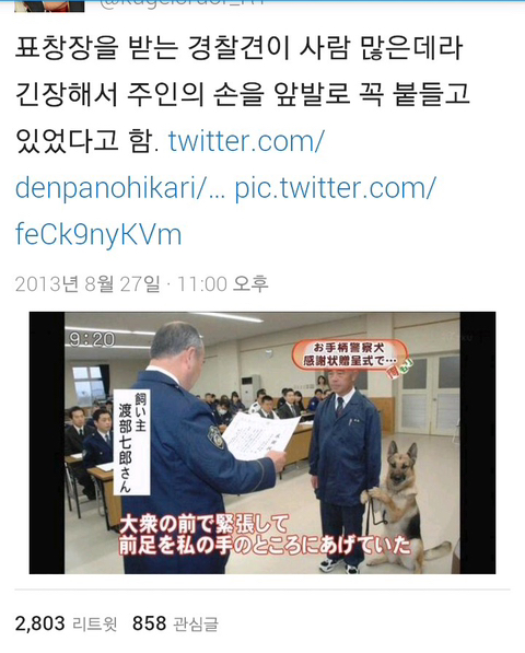 강아지 짤 모음(개많음) | 인스티즈