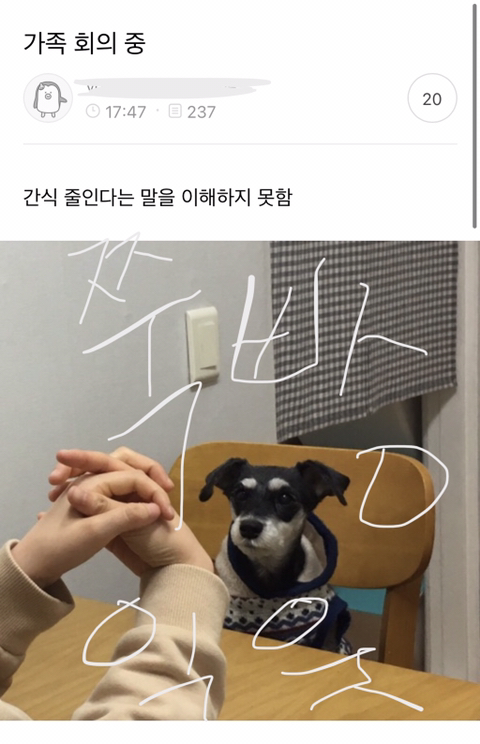 반려동물들의 귀여운 익웃 | 인스티즈