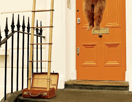 약 7년만에 돌아오는 패딩턴 세번째 이야기 패딩턴 인 페루 예고편 공개🍊🐻 | 인스티즈