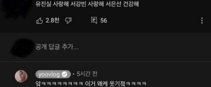 유투브에 육아+남편이 나오는 조합 싫어하는 사람들도 이상하게 이 집은 괜찮아 하고 보게 된다는 유투버 | 인스티즈