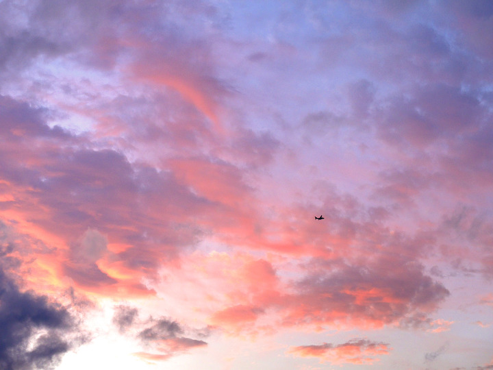 MBTI N형 방석이들 이 소설의 다음줄을 써보자 | 인스티즈