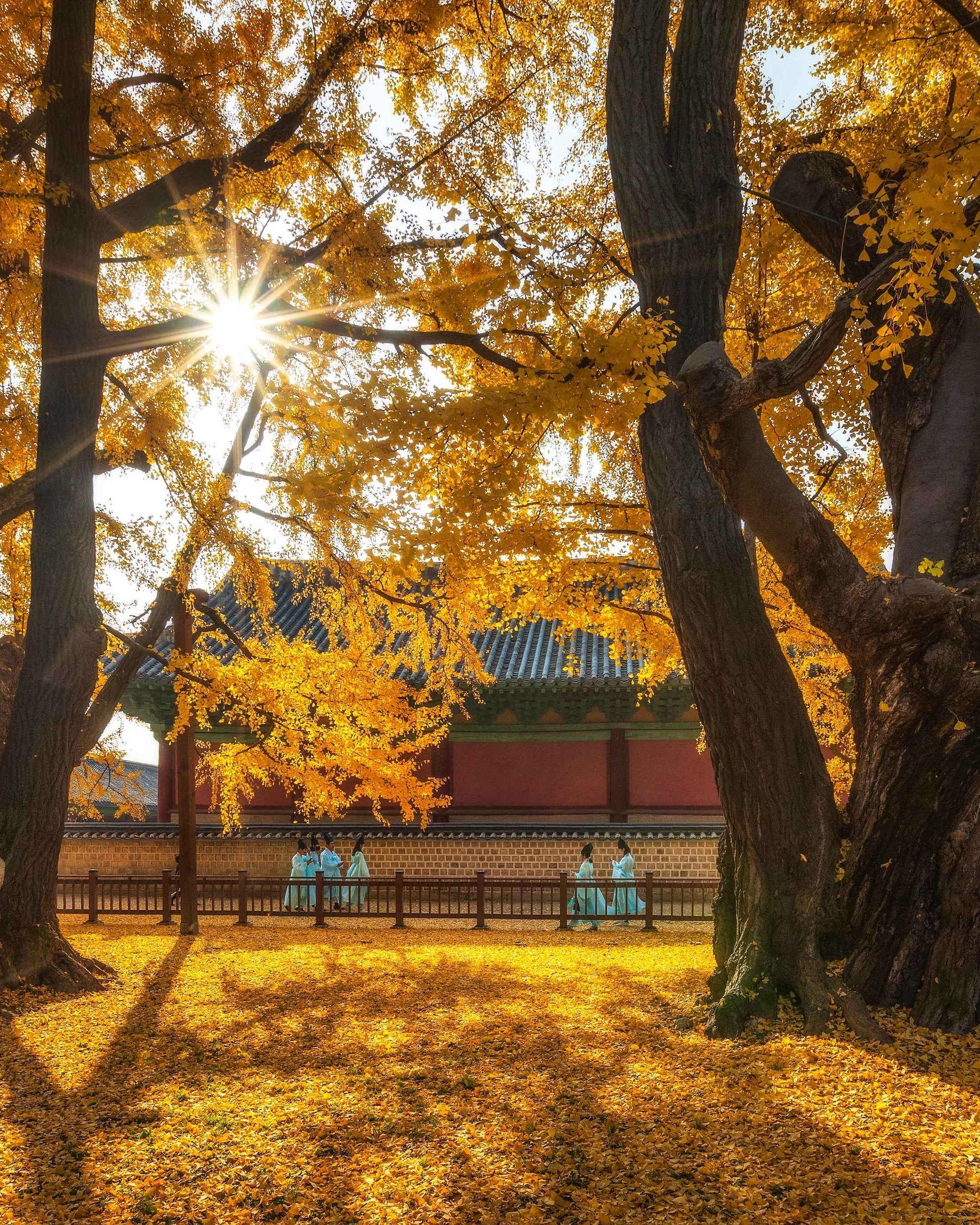 한국관광공사 계정에서 볼 수 있는 한국 | 인스티즈