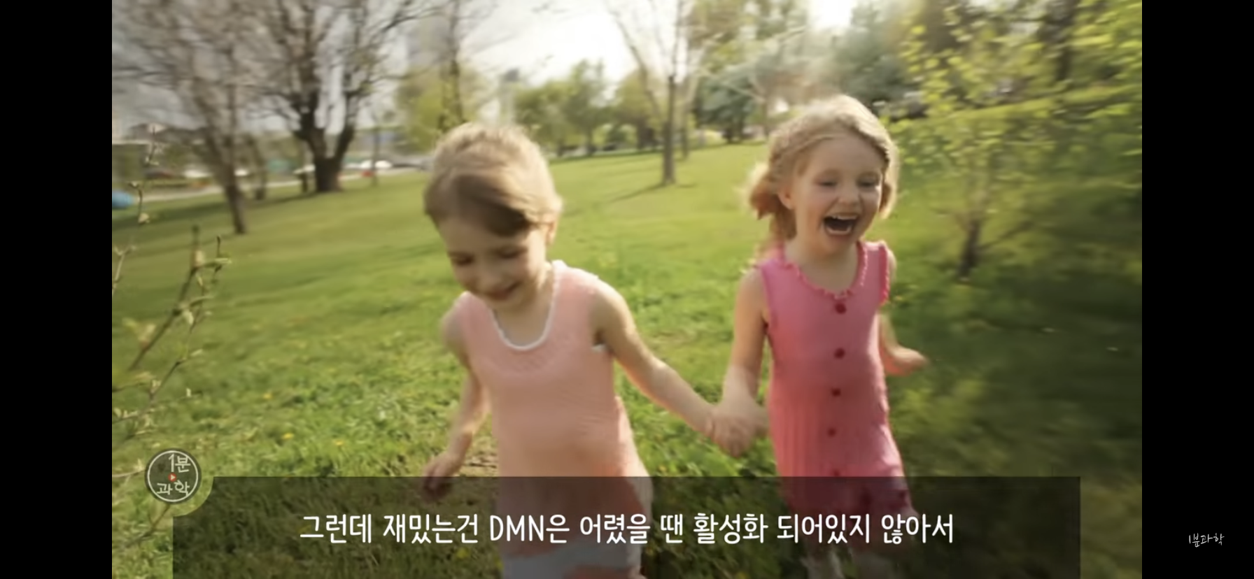 전세계에서 금지된 마약 | 인스티즈