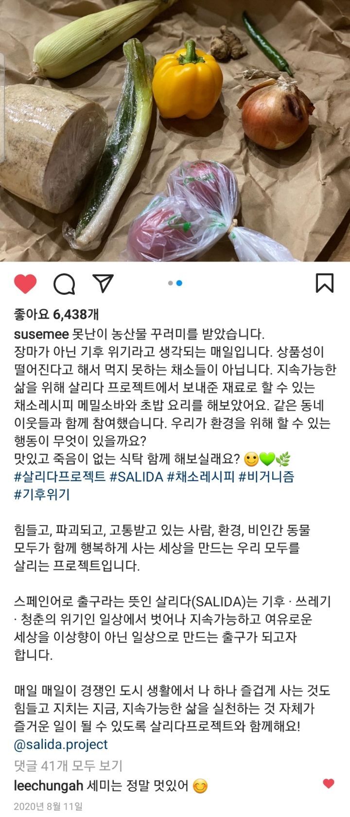 선한 영향력을 보여주는 배우 임세미의 인스타 피드 | 인스티즈