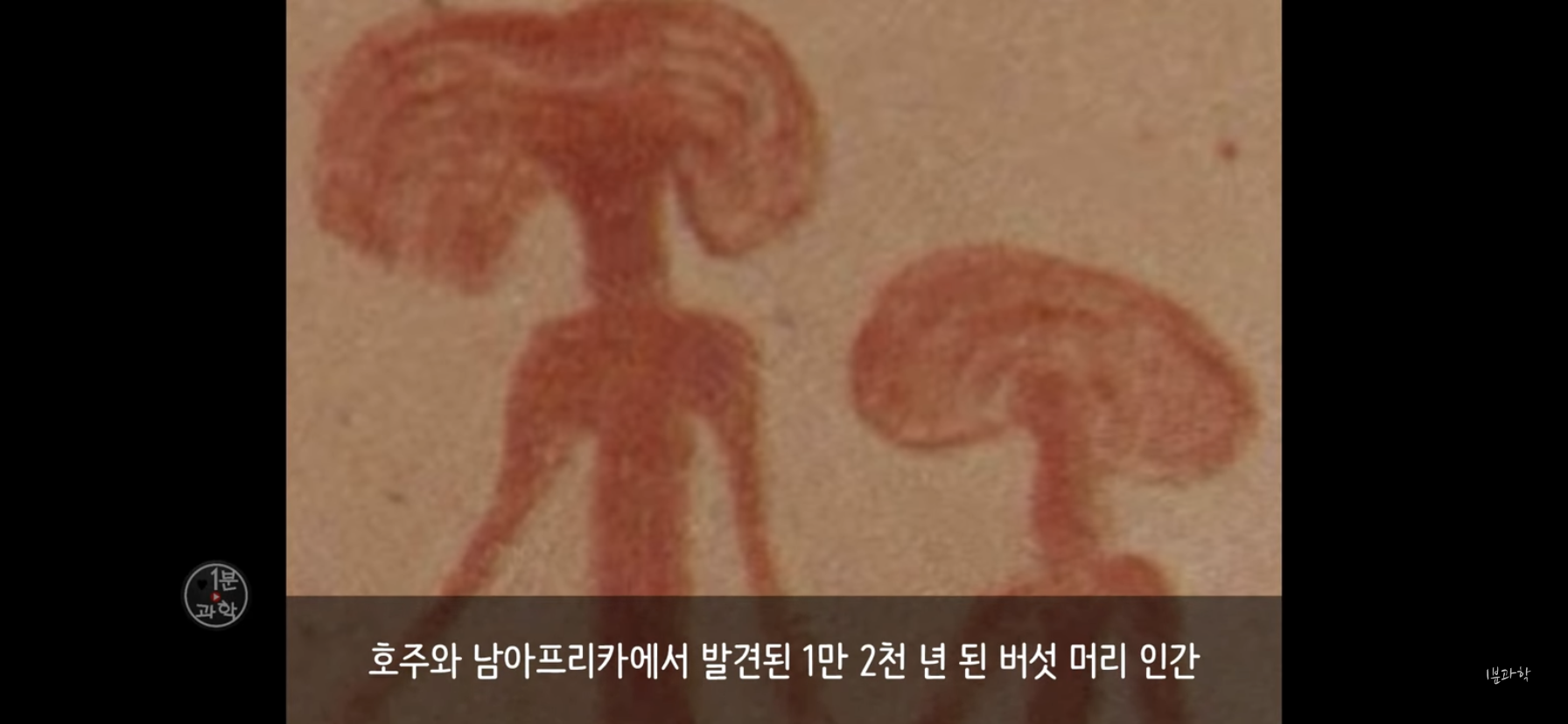 전세계에서 금지된 마약 | 인스티즈