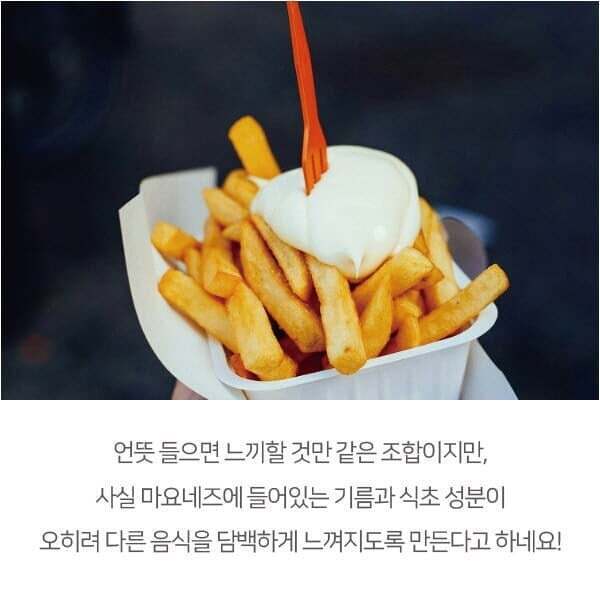 벨기에는 감자튀김에 'ㅇ'를 찍어 먹는다 | 인스티즈