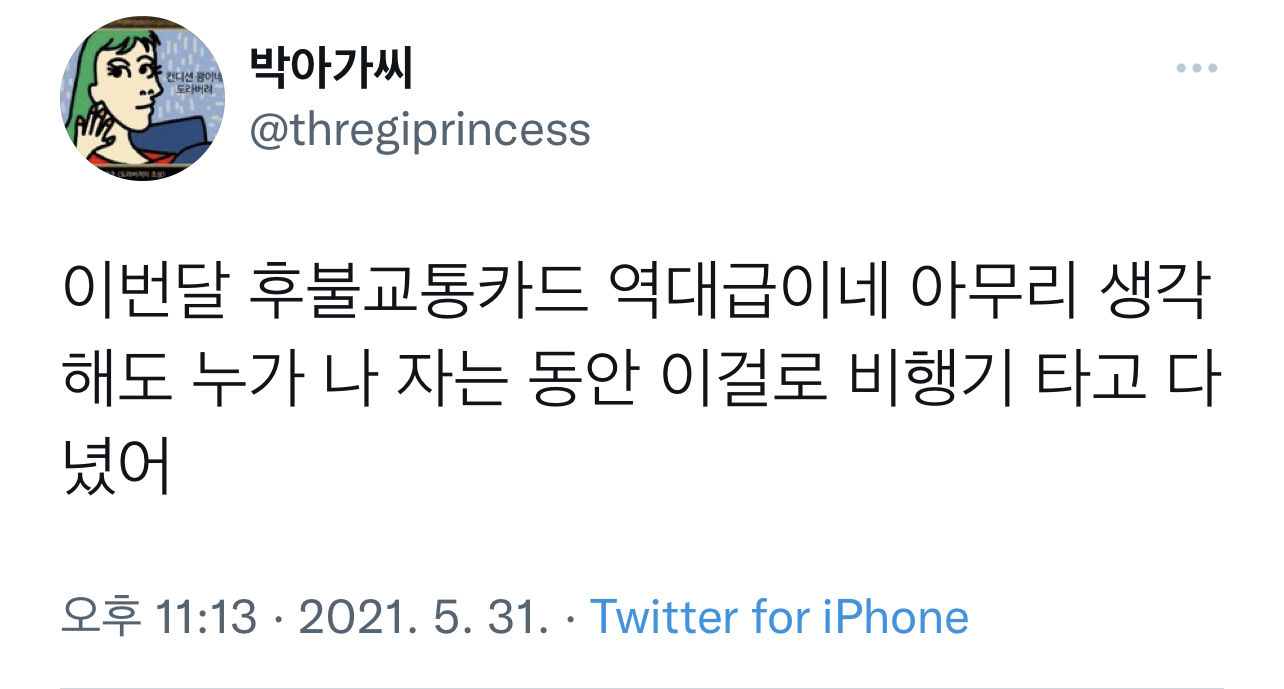 아무리 생각해도 누가 나 자는 동안 이걸로 비행기 타고 다녔어. twt | 인스티즈