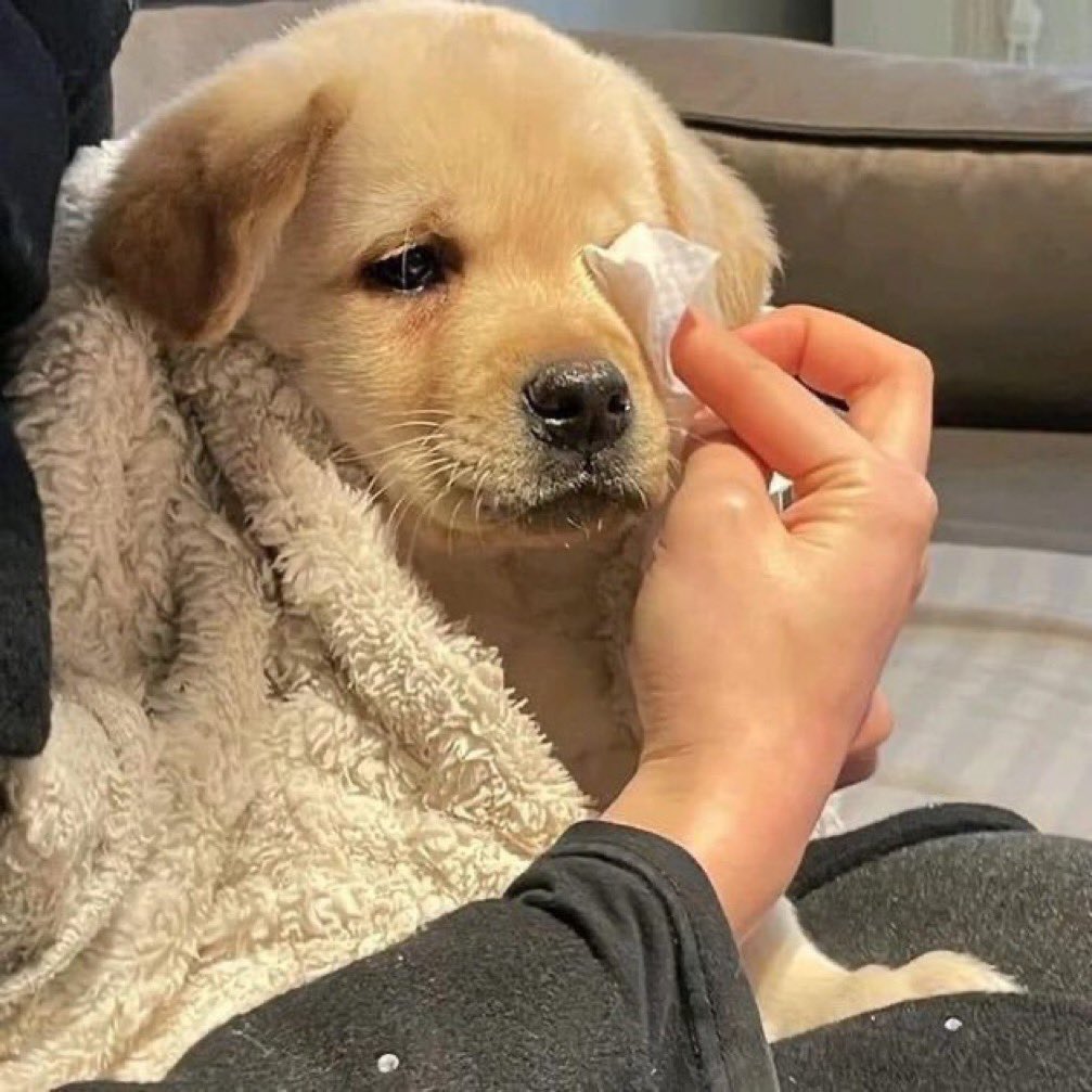 @와 드라마 재밋엇다. 하고 홀가분하게 떠날 수 잇는 자는 얼마나 복받은 자인가 | 인스티즈