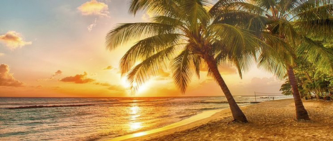 하와이는 정말 천국과 비슷하더군요. 그 바람과 햇빛의 느낌이 | 인스티즈