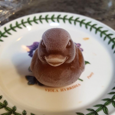 오리 얼음틀을 산 사람.jpg | 인스티즈