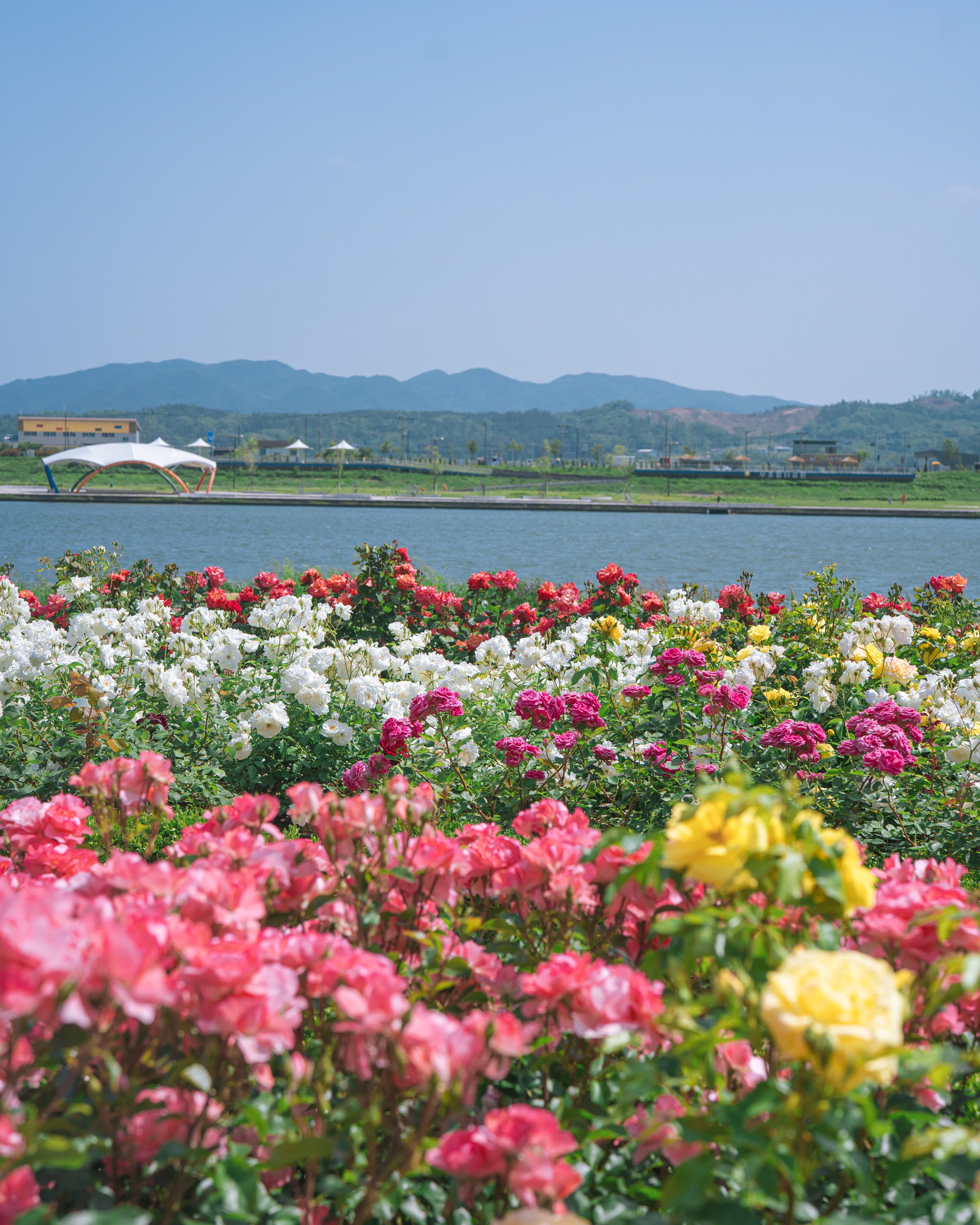 한국관광공사 계정에서 볼 수 있는 한국 | 인스티즈