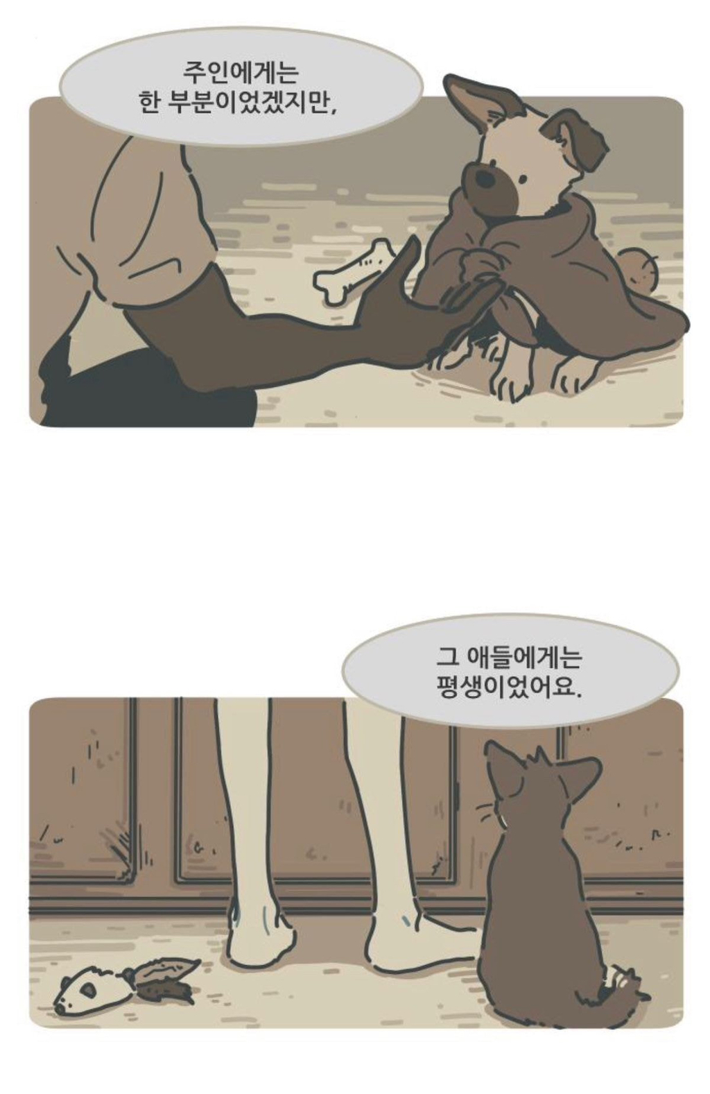 "내가 매일 토해서, 아파서 날 그 철장에 버리고 간 줄 알았어" | 인스티즈
