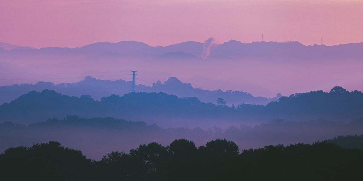 치킨 2마리 걸고 사진대회 열자 2시간 만에 나온 작품들. jpg | 인스티즈