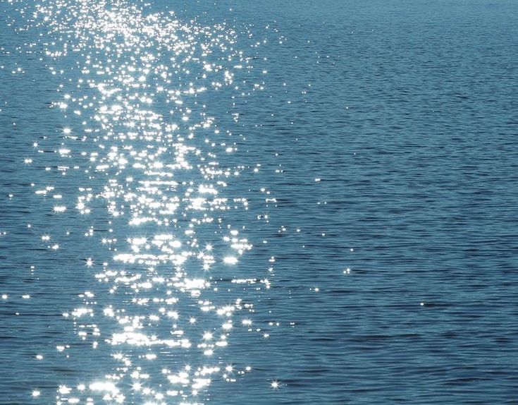 진짜로 끝나버렸어 여름! | 인스티즈