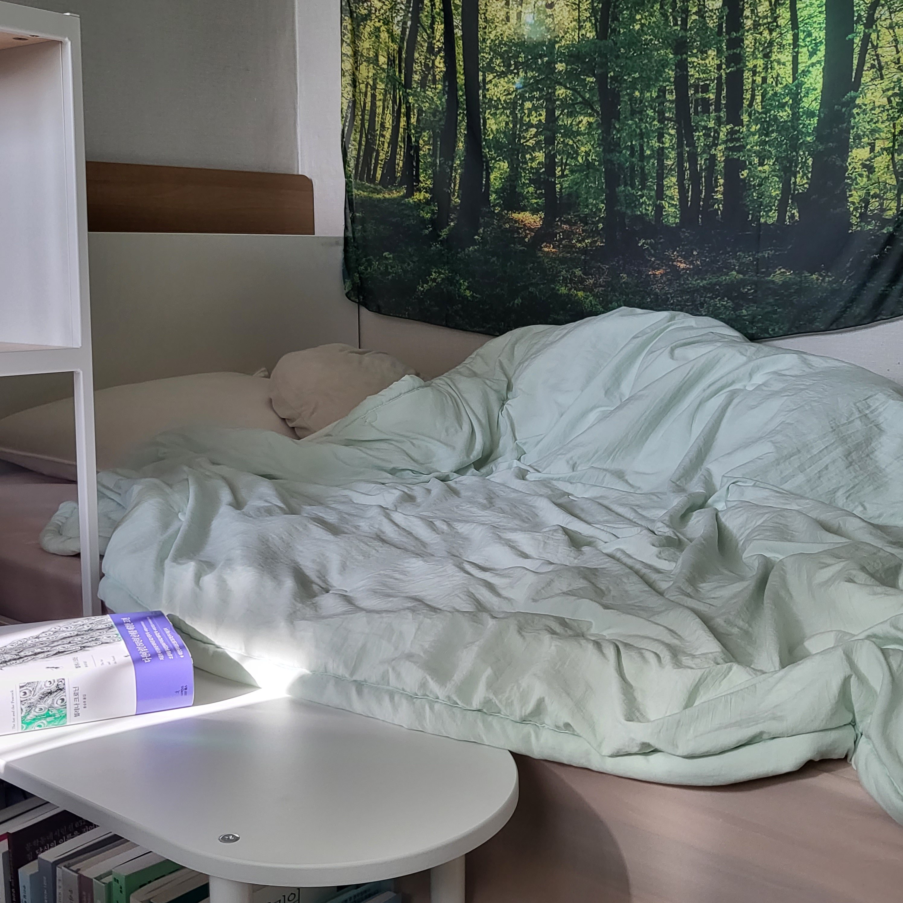 여름 향기 나는 사진 공유하는 글 | 인스티즈