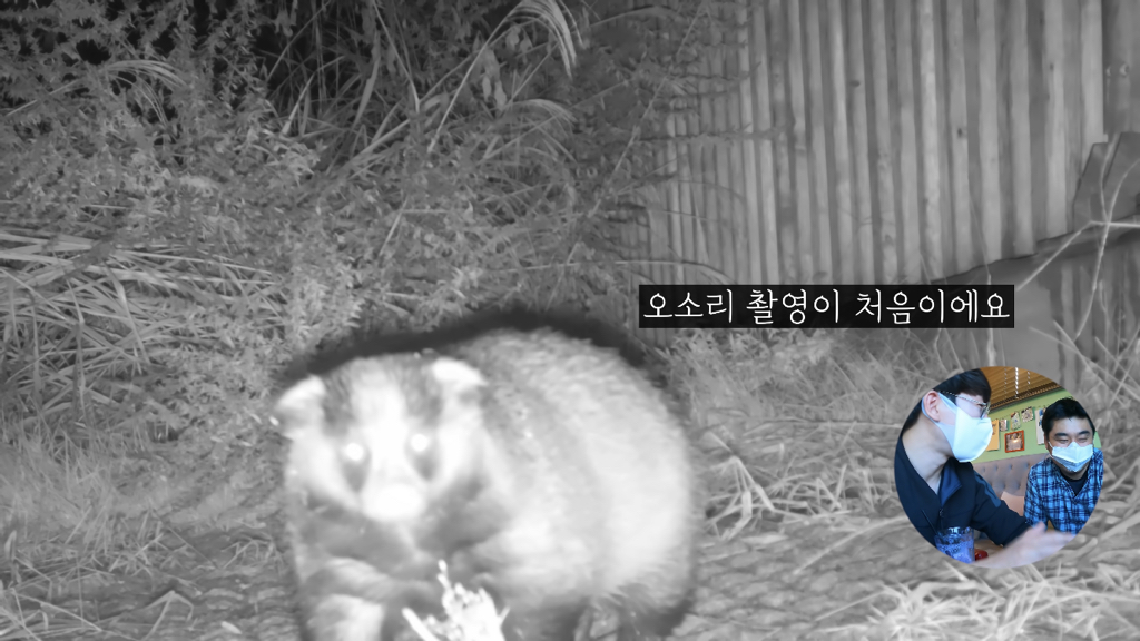 고속도로에 있는 생태통로 진짜 야생동물이 다닐까? | 인스티즈
