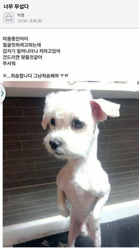 첨보는거같은 익웃 모음 | 인스티즈