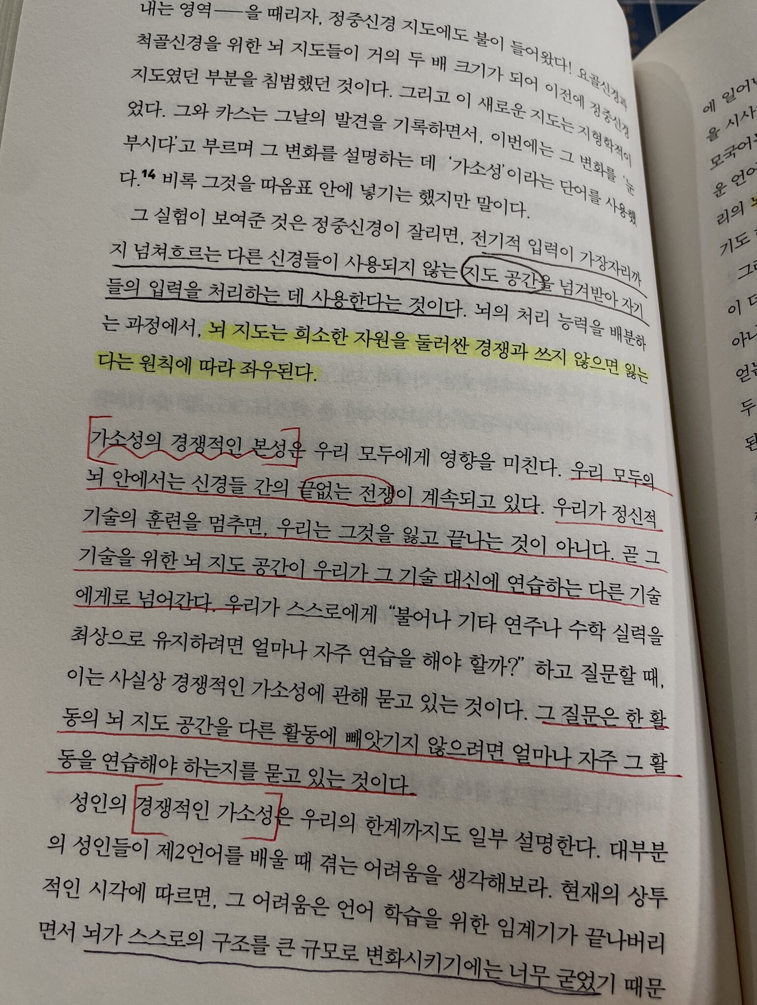 뇌는 가소적임과 동시에 경쟁적이기 때문에, 강화하고 잘하고 싶은 분야를 깊게 파고 들어야 한다 | 인스티즈