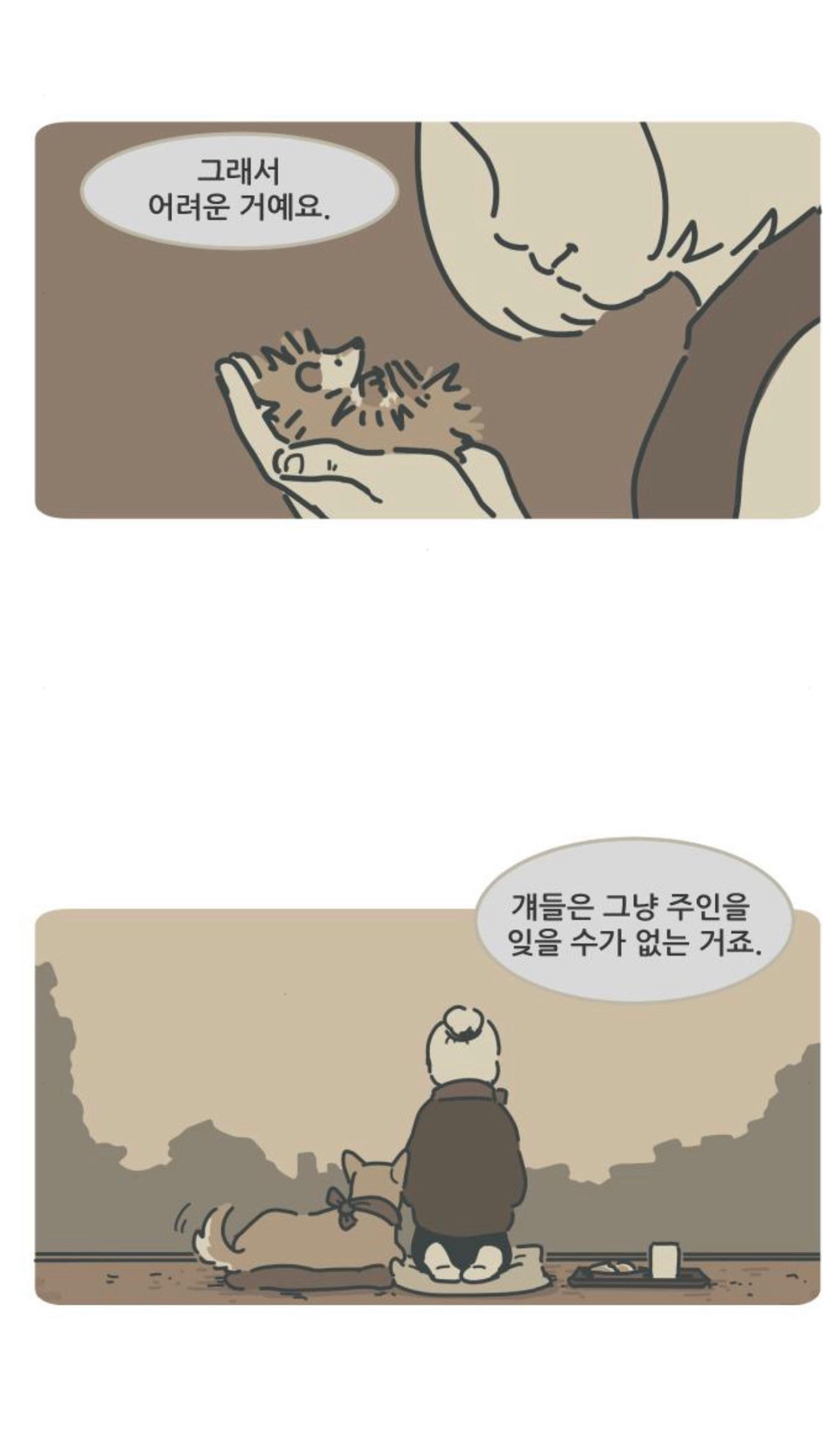 "내가 매일 토해서, 아파서 날 그 철장에 버리고 간 줄 알았어" | 인스티즈