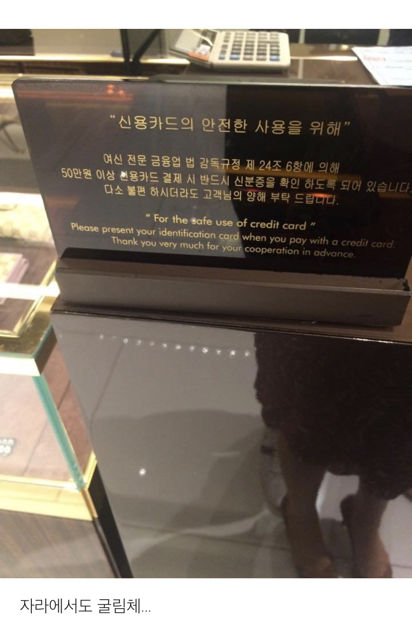 굴림체가 존나 싫은 디자이너의 글 | 인스티즈