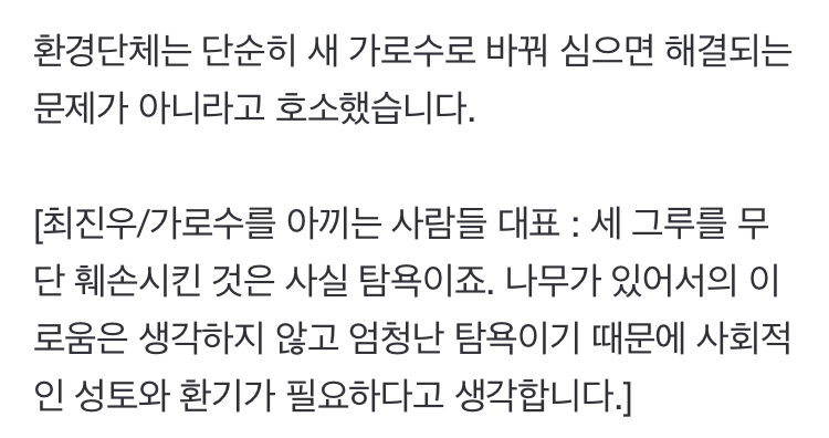 두 달 사이 말라죽은 수령 40년 가로수, 대체 무슨 일? | 인스티즈
