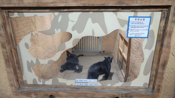 죄 없는 감옥같다는 실내 동물원 | 인스티즈