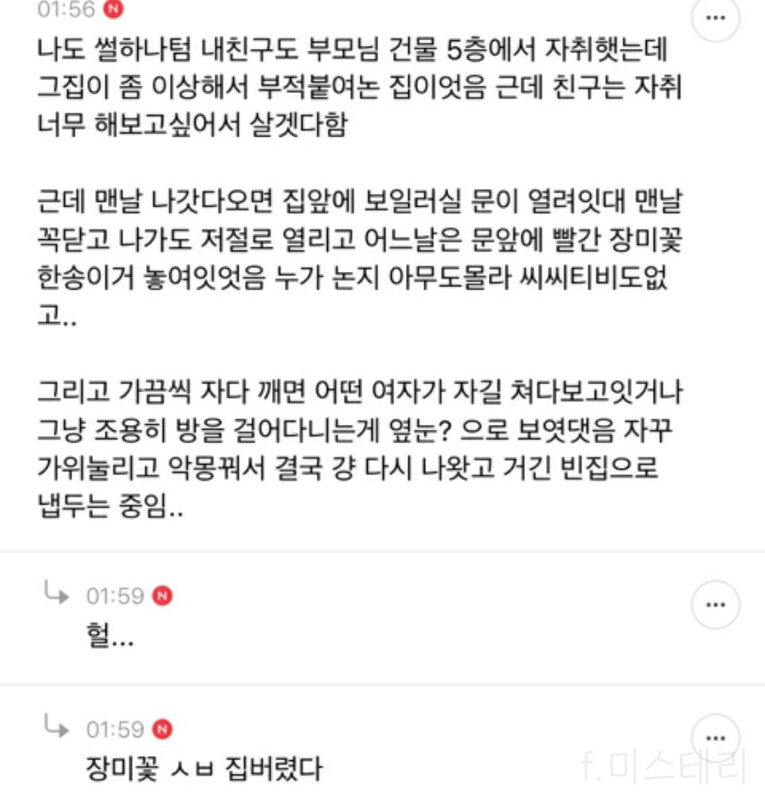 집 무나해도됨?? 레알로 | 인스티즈