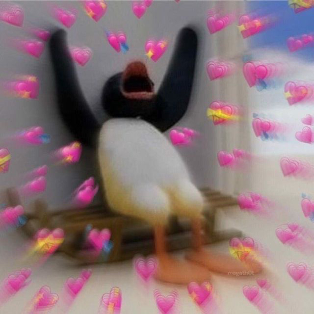 내가 너 좋아하는 거 너도 알잖아 | 인스티즈