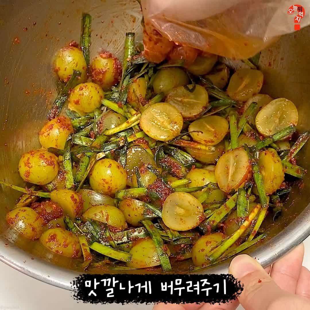 샤인머스캣으로 만드는 K-김치 근황 | 인스티즈