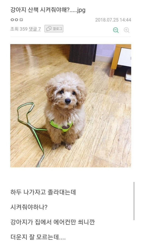 강아지 짤 모음(개많음) | 인스티즈